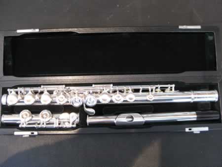 Pearl 505